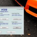 VCDS Diagnostic Interface