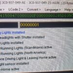 VCDS Interface for Car Coding