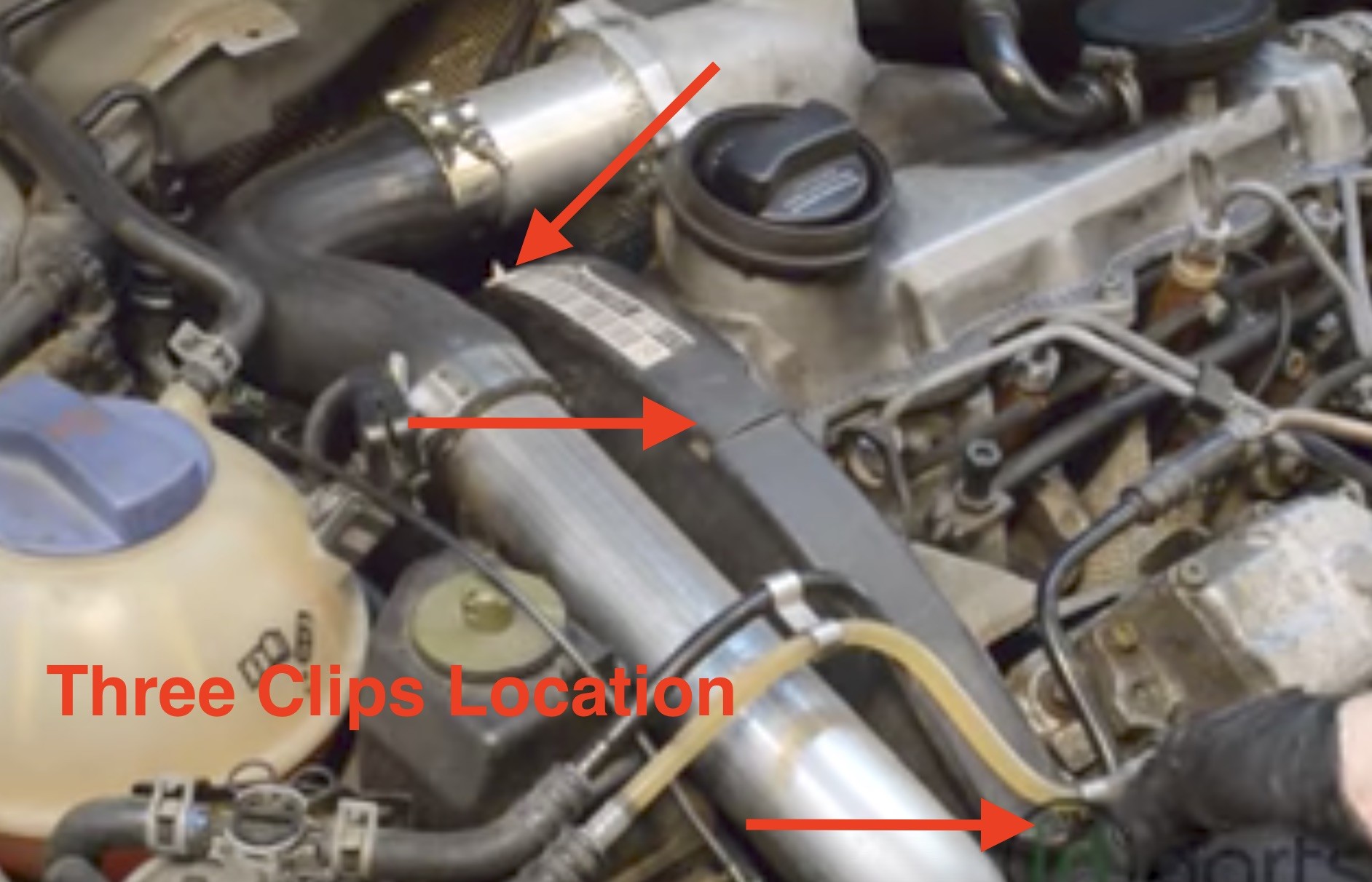 ALH Timing Cover Clips