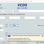 VCDS Interface