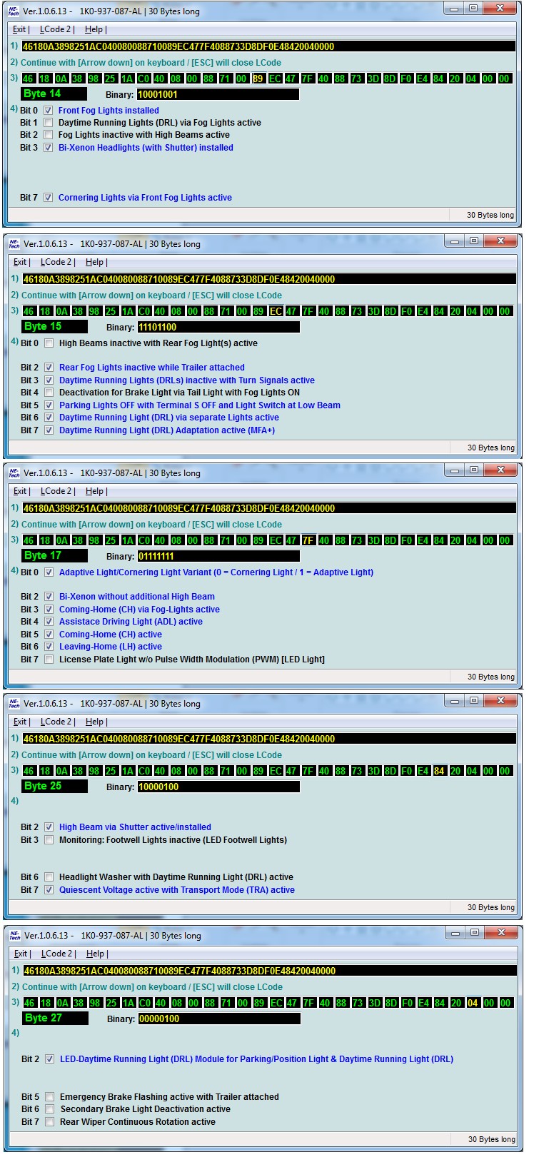 VCDS Interface