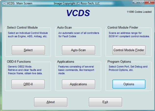 VCDS Software Interface