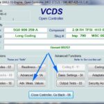 VCDS Wastegate Voltage Setting and Adaptation